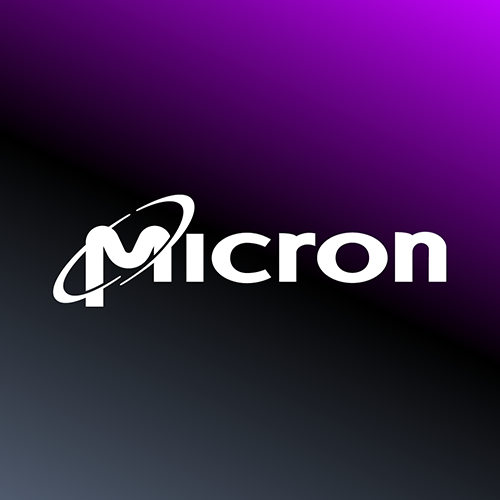 micron-500x500 (1)